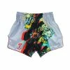 Fairtex Muay Thai Shorts - Satoru TRAINING GEAR