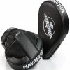 Hayabusa PTS 3 Focus Mitts