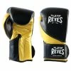 Cleto Reyes High Precision Gloves - Black/Gold